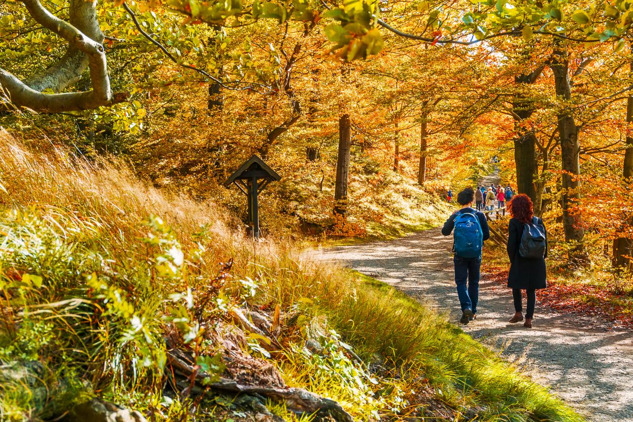 Wanderung durchs Krodotal- und Stübchental zum Butterberg, Kur-, Tourismus- und ...
